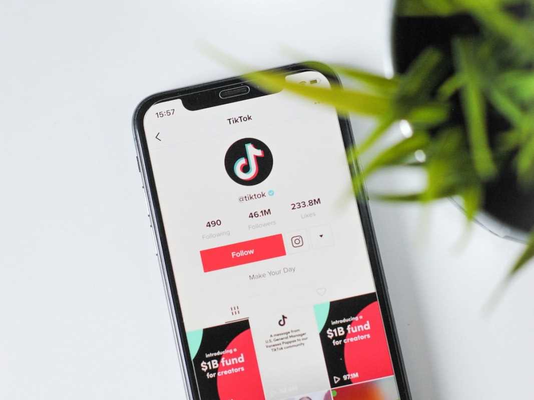 Unveiling the Power of TikTok: Redefining Celebrity and Pop Culture